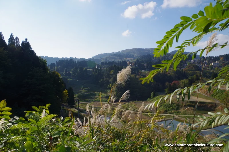 Vallée japonaise