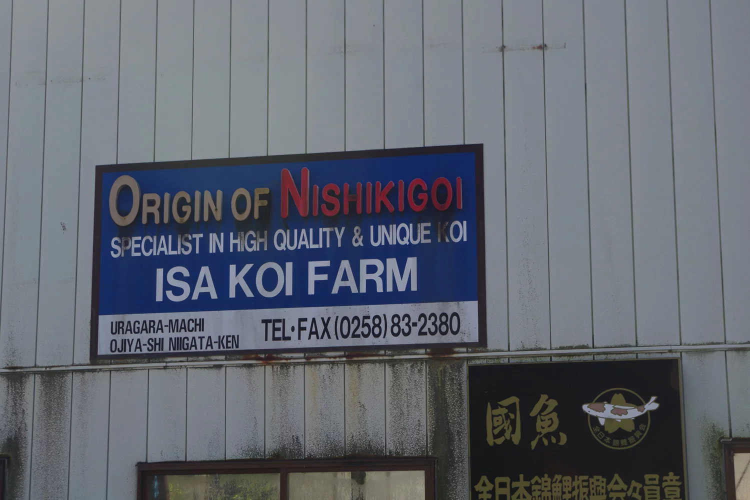 Isa Koi Farm