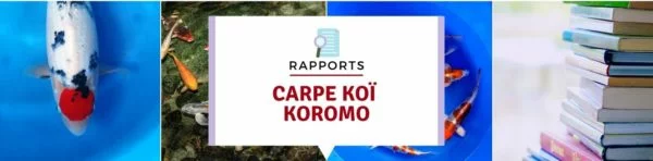 la koromo