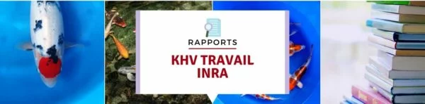 KHV TRAVAIL INRA