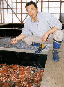 HISATO NOGAMI (Nogami koi farm)