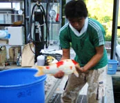 Hosokai farm