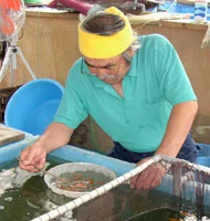 Teradorami Koi Farm