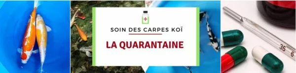 La quarantaine