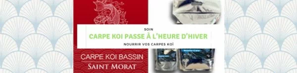 La nourriture pour Carpe Koi passe à l’heure d’hiver