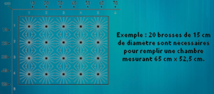 exemple-installation-brosse-de-filtration-