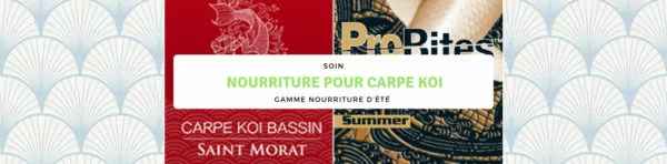 L’été revient et la nourriture pour carpe Koi aussi !