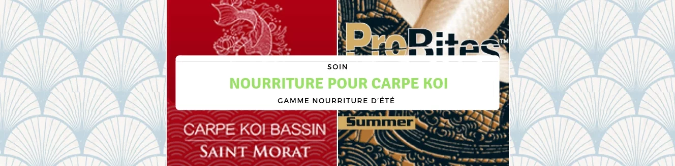 Nourriture pour carpe koi