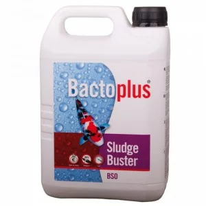 BSO BACTO PLUS BASSIN, carpe koi, vase, sédiments,bactéries