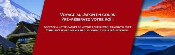 Voyage Japon octobre 2017