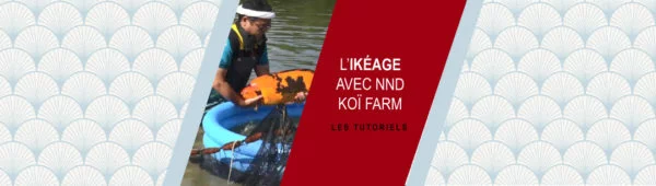 L’ikéage par NND Koï Farm