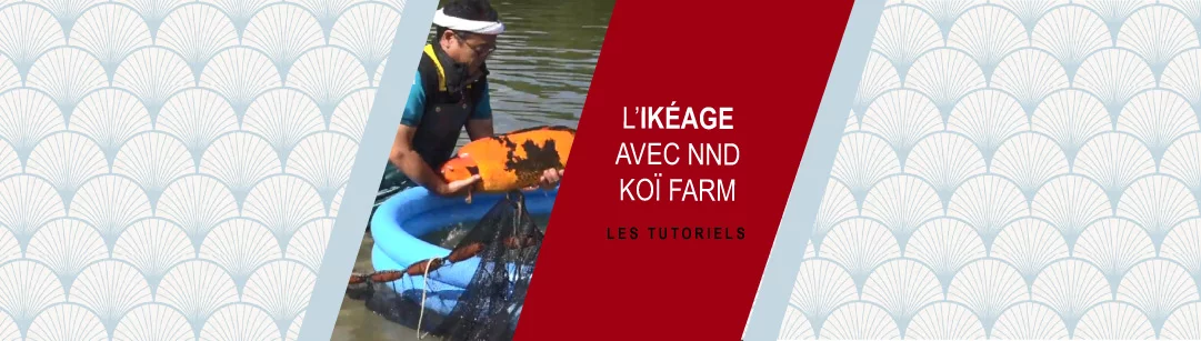 ikeage