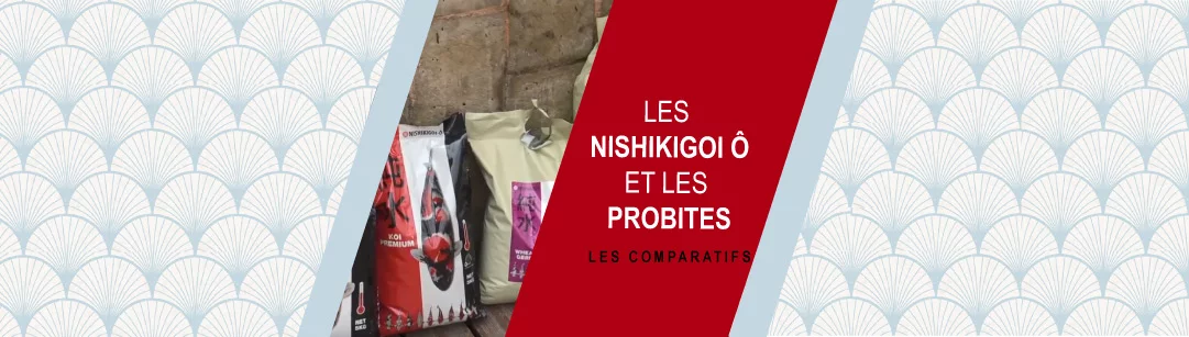 les tutoriels nourriture pour carpe koi