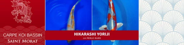 Hikarashi Yoriji