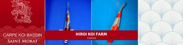 Hiroi Koi farm