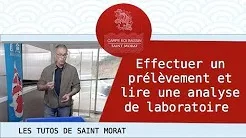 Prélèvement et analyse Carpe koi