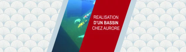 Réalisation d’un bassin chez Aurore