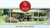 Le bassin à koi de Joël