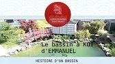 Le bassin à koi d'Emmanuel