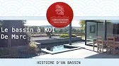 Le bassin à koi de Marc