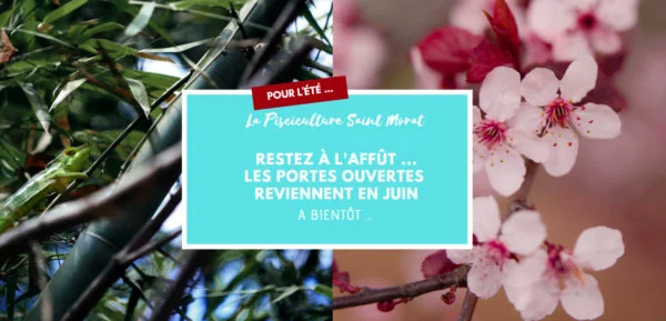 Portes ouvertes de juin 2019