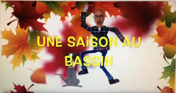 Une saison au bassin : l’été