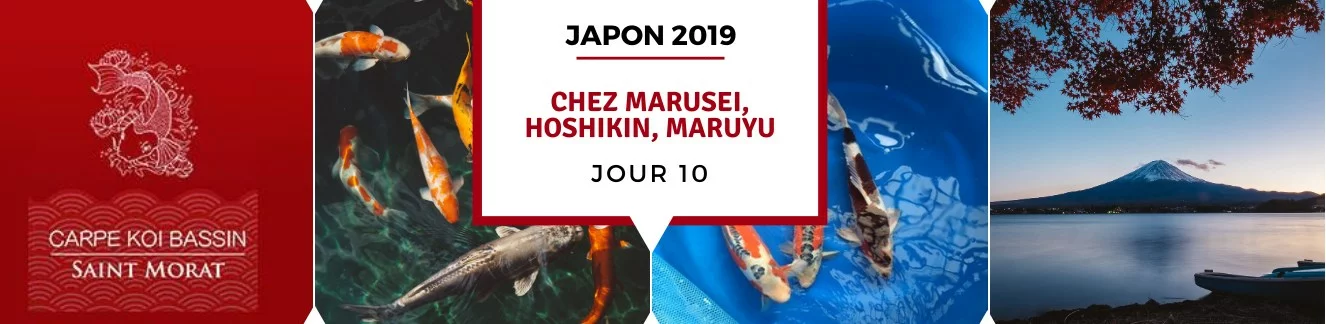 slider jour 10 - Voyage au Japon 2019