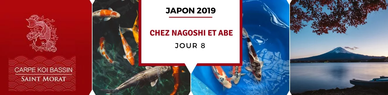 Slide jour 8 - Voyage au Japon 2019