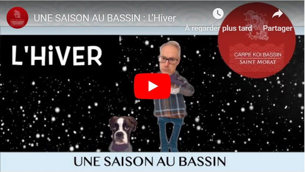 entretenir son bassin l'hiver
