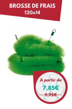 Brosse de Fraie