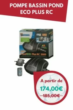 Pompe bassin pond eco plus RC