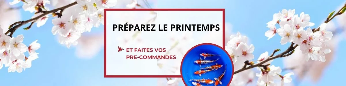 Préparez le printemps