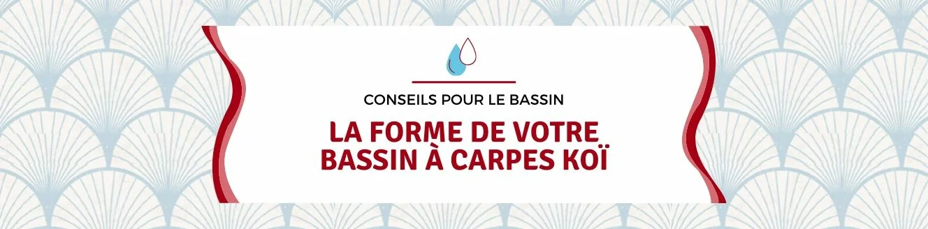 Forme bassin carpes koï