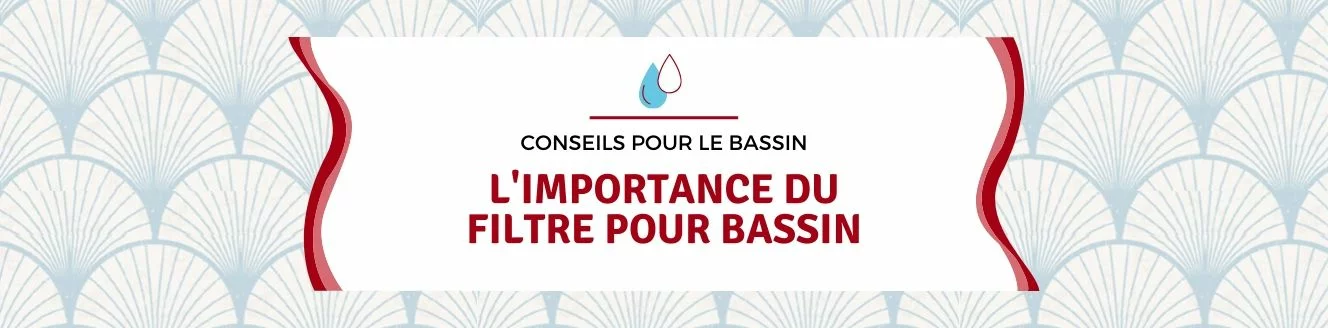 importance du filtre à bassin