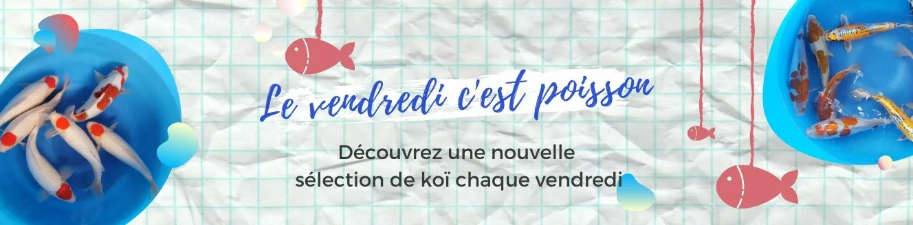 Vendredi c'est poisson