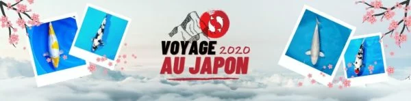 Voyage au Japon 2020