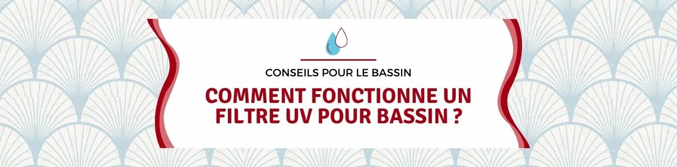 Comment fonctionne un filtre UV pour bassin