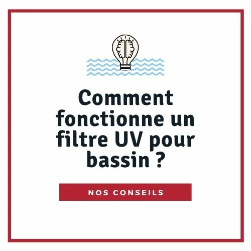 Comment fonctionne un filtre UV pour bassin ?