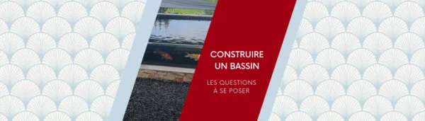 5 bonnes questions avant de construire un bassin à carpe koï
