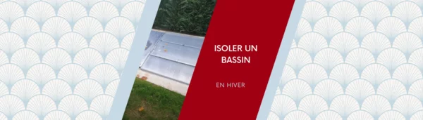 Comment isoler votre bassin à koï en hiver ?