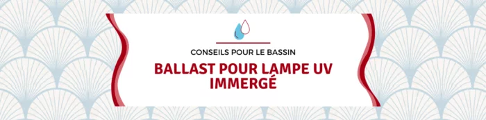 Ballast pour lampe UV immergé