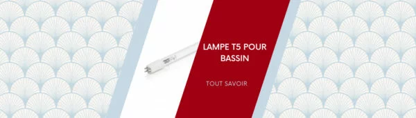Lampe T5 pour bassin