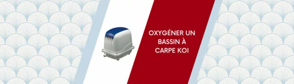 Oxygéner un bassin à carpe koi : la pompe à air