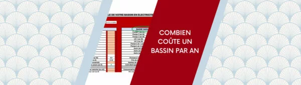 Combien coûte un bassin à koi par an ?