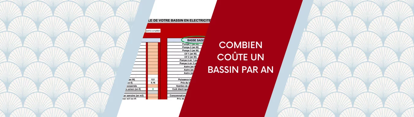 combien coûte un bassin par an