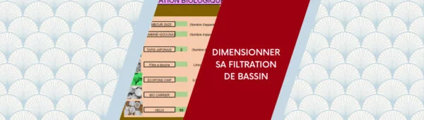 Quel type et quelle taille de filtre bassin choisir ?