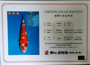 Dainichi 089 certificat