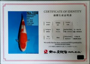 Dainichi 108 certificat