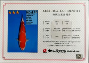 Dainichi 476 certificat