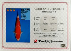 Dainichi 476 certificat